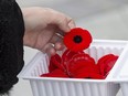 A woman purchases a poppy.