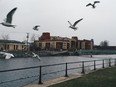 A view of the Atwater Market from the south side of the Lachine Canal.