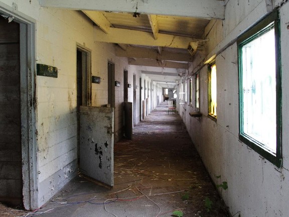 Blue Bonnets blues: Abandoned racetrack a sad sight | Montreal Gazette