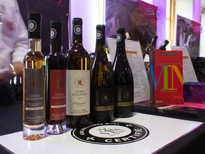 Discover Quebec wines and spirits at the ninth edition of La Fête des Vins du Québec.