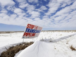 Stop the Transcanada Pipeline sign n a field near Bradshaw, Neb., along the Keystone XL pipeline route through the state in March 2013.