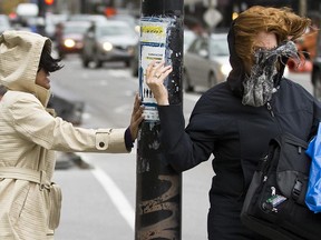 Women are caught in a sudden gust of wind during a day with very windy weather in November 2011.