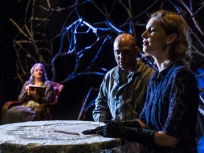 Teesri Duniya's new show, Corpus, written by Darrah Teitel, deals with the Holocaust. Actors Susan Bain (Eva Wolfe), Davide Chiazzese (Eli) and Melissa Paulson (Eva), right, perform Nov. 12, 2014.