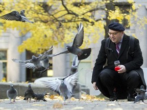 Luc-Alain Giraldeau, dean of science at UQAM and a pigeon expert, with pigeons at Phillips Square in Montreal, Nov 13, 2014.  He is also featured in Secret Life of Pigeons on CBC's Nature of Things.