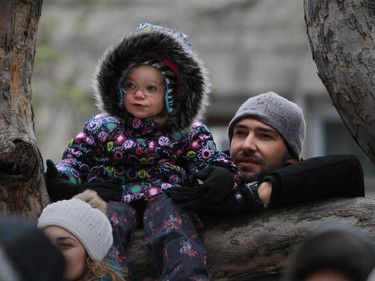 A youngster had a good perch to watch the 64th edition of the downtown Santa Claus parade in on Ste. Catherine St. in Montreal Saturday, November 22, 2014.