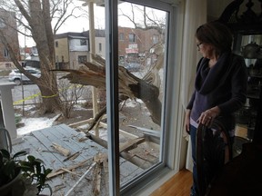 Johanne Morin looks at damage outside her Montreal East home in the Montreal area Saturday, November 22, 2014 in the aftermath of a vehicle crashing into her home early Saturday morning. Two peole died and three are critically injured after a vehicle carrying five people crashed into a tree on her property and then hit the balcony.