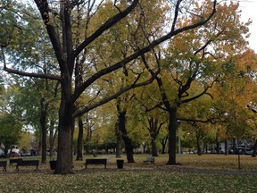 Parc Sir George Étienne Cartier on a grey autumn day.