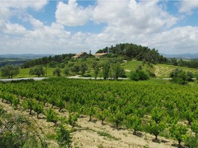 There are many countries producing excellent sparkling wines at a very fair price, like Josep Maria Raventos i Blanc in Spain's Cava region.