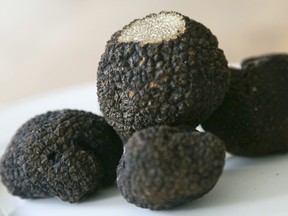 The most abundant truffle, and therefore
the most affordable, is the summer truffle.
It’s used mainly as a garnish.