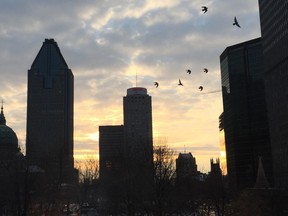 View of Montreal early in the morning.