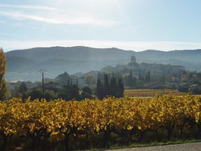 Some of the world's best grenache in grown in Châteauneuf-du-Pape. But even within this small area, the taste profile depends on the soils.