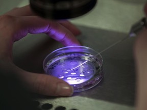 An embryologist works on embryo at the Create Health fertility clinic in South London.