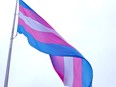 The transgender flag.