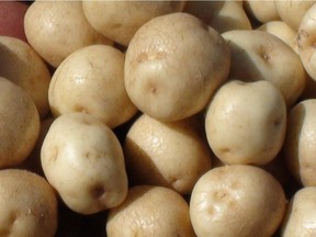 Buy Quebec potatoes for the best flavour and price.