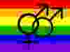 A male Bisexual Pride flag.