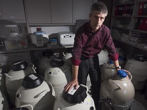 Doctor William Buckett, director of the MUHC reproductive centre, stands with fertilized embryonic cell containers in the embryonic lab at the Royal Victoria Hospital on Thursday December 04, 2014.