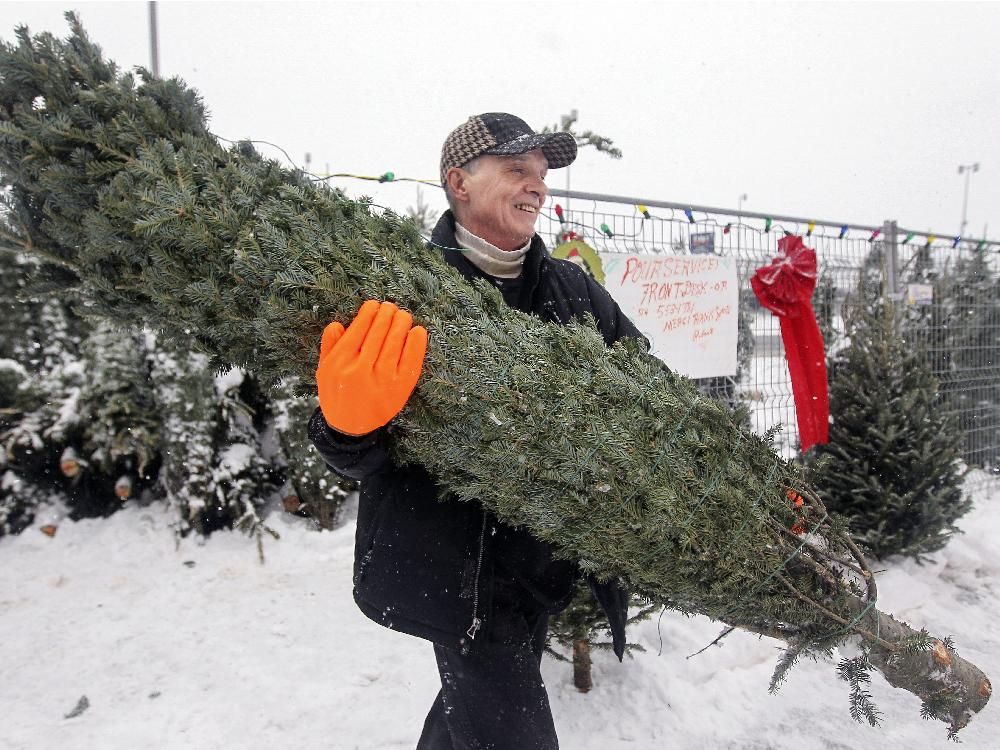 12 faces of Montreal Christmas Tree seller Montreal Gazette