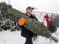 Robert McGee cuts a Christmas tree at the Sun Youth lot in Dorval, west of Montreal on Dec. 12, 2014.