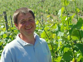 Pierre Gassmann produced the white wine hit of the year, the 2007 Auxerois from Alsace.