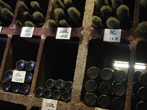 Are aged wines better? Not always. Pictured are wines aging in a cellar in Alsace. The fungus is beneficial and shows a healthy cellar environment.
