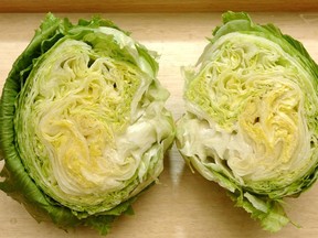 Prices are more reasonable this week for  iceberg lettuce.