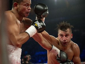 David Lemieux, right, of Laval, punches Jose Miguel Torres, of Columbia, during middleweight preliminary fight action in Quebec City Saturday, November 30, 2013. Lemieux won the fight.