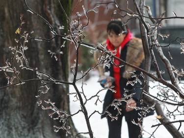 Montreal ice storm