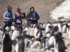 Photo from the 2014 Students on Ice Antarctic expedition. Participants in photo are on Elephant Island in the Antarctic.