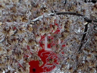 ice storm Montreal