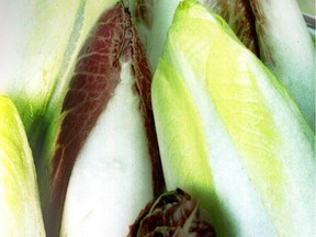 Quebec endive gives salads both crunch and flavour.