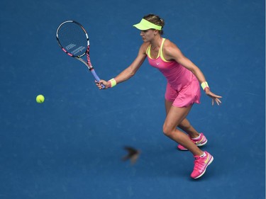 Canada's Eugenie Bouchard plays a shot as a bird flies past during her women's singles match against Russia's Maria Sharapova on day nine of the 2015 Australian Open tennis tournament in Melbourne on January 27, 2015.