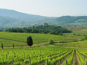 The sangiovese grape in Chianti tastes like it does because of the climate and their "galestro" soils.