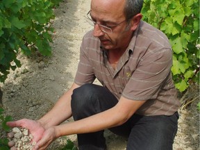 Understanding how grape varieties express themselves in particular regions will help narrow down the aromatic possibilities. The soil and climate in France's Sancerre give the sauvignon blanc grape its citrus character.
