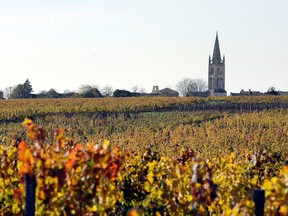 Vineyards producing one of the famous wines of the Bordeaux region.