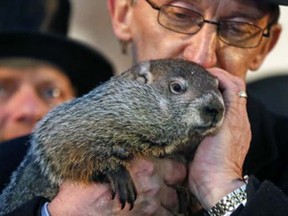In this file picture from 2014's Groundhog Day, Punxsutawney Phil is held by Ron Ploucha after emerging from his burrow on Gobblers Knob in Punxsutawney, Pa. (AP Photo/Gene J. Puskar)