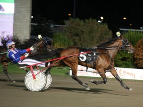 Intimidate, the 6-year-old gelding, owned by Judy Farrow of Hemmingford and Ecurie Determination of Westmount, was named Canada's outstanding older trotter at the annual O'Brien Awards on Saturday, February 7, 2015.