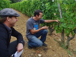 Mathieu Baudry of Domaine Bernard Baudry in Chinon shows cabernet franc grapes to Toronto wine writer and master sommelier John Szabo.