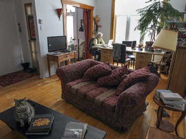 Simba sits on the coffee table as his owner, Raymonde Letourneau, sits at a large desk in the living room.