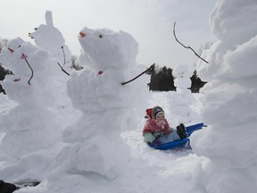 MONTREAL, QUE.: FEBRUARY 14, 2015 --  Ada Gibb-Bechette sits protected by several snowmen as residents of The town of Hudson tried to break the Guinness World Record for most snowmen built in one hour, on Saturday, February 14, 2015. (Peter McCabe / MONTREAL GAZETTE)