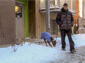 MONTREAL, QUE.: FEBRUARY 5, 2015 -- The number of rooming houses is dwindling yet they are the last stop before homelessness and the first option for people who escape from the street. Former 37-year-old drug addict Martin Goudreau, in Montreal, on Thursday, February 5, 2015, credits his dog for one of his reasons for keeping clean. (Dave Sidaway / MONTREAL GAZETTE)
