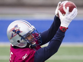 Geoff Tisdale makes catch during Alouettes team practice in Montreal on Nov. 7, 2013.
