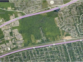 Map shows Angell Woods area north of Elm Ave. in Beaconsfield.