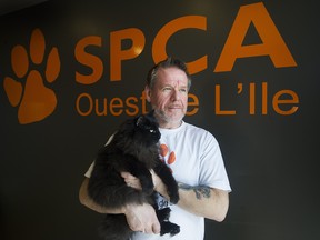 MONTREAL, QUEBEC, MARCH 9, 2015:  Remi Brazeau, Director General of the SPCA Ouest poses for a photograph with domestic cat Zorro at the SPCA in Vaudreuil-Dorion west of Montreal, Monday, March 9, 2015. (Graham Hughes/Montreal Gazette)