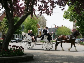 A clock tower and a horse-drawn carriage: Queen St. in Niagara-on-the-Lake is historic and charming.