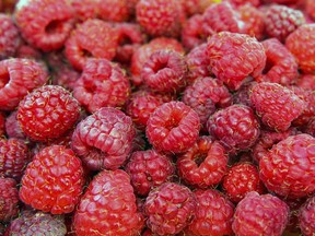 Raspberries, coming from both California and Mexico, are a sure bet for quality.