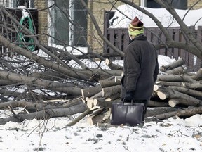 MONTREAL, QUE.: February 17, 2015 -- A man walks by a pile of logs after workers cut trees behind the Sunnybrooke Village condominiums in Dollard des Ormeaux, west of Montreal Tuesday February 17, 2015. (John Mahoney / MONTREAL GAZETTE)