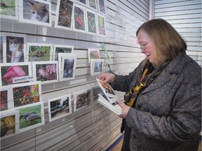 Arlyle Waring, the owner of Cartes etc., gathers up remaining photo cards during the closing of her N.D.G store Thursday, March 19, 2015.