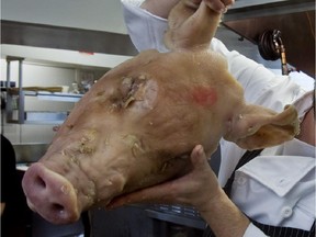 Laloux chef Seth Gabrielse drops a pig's head into the pot for his head cheese in Montreal, on Thursday, October 21, 2010.