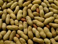 Peanuts and other allergens can spark a a potentially life-threatening reaction that impairs breathing and can send the body into shock.