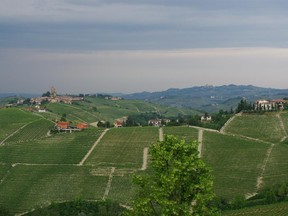 The region of Piedmont in Italy, where nebbiolo thrives.